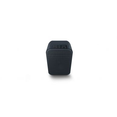 Умная колонка Bluesound PULSE FLEX 2i, black